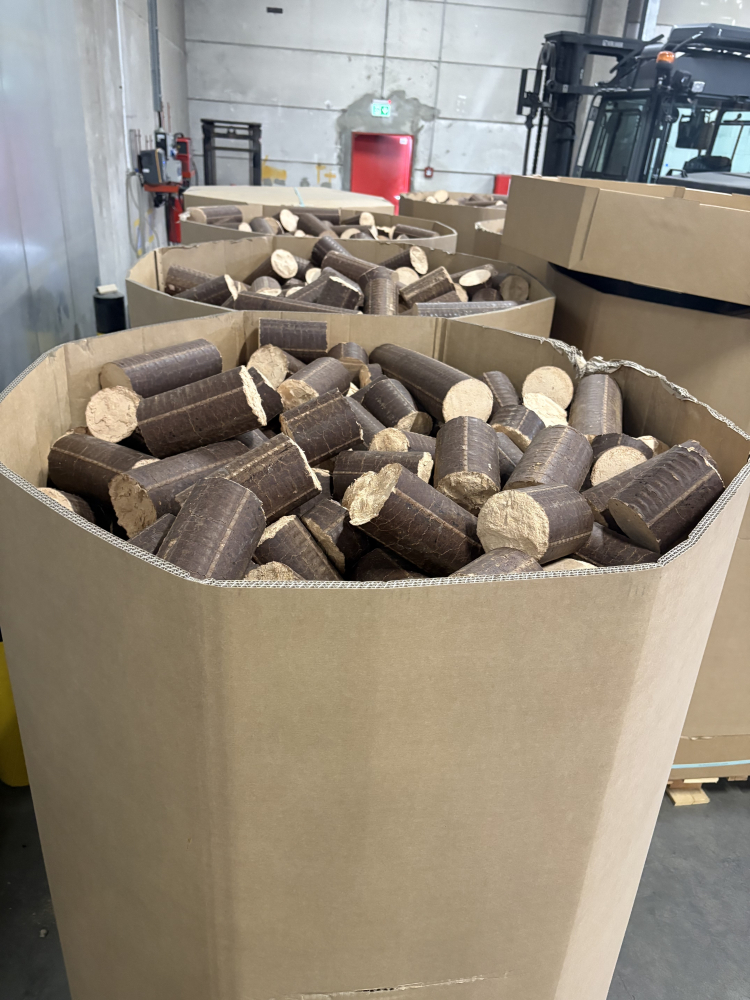 Bruchware Buche Pollmeier